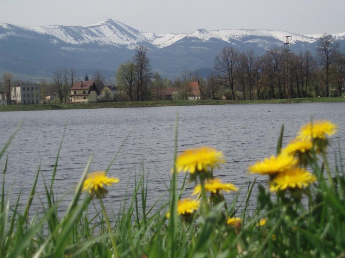 Agroturystyka Aura Kostrzyca Kültér fotó
