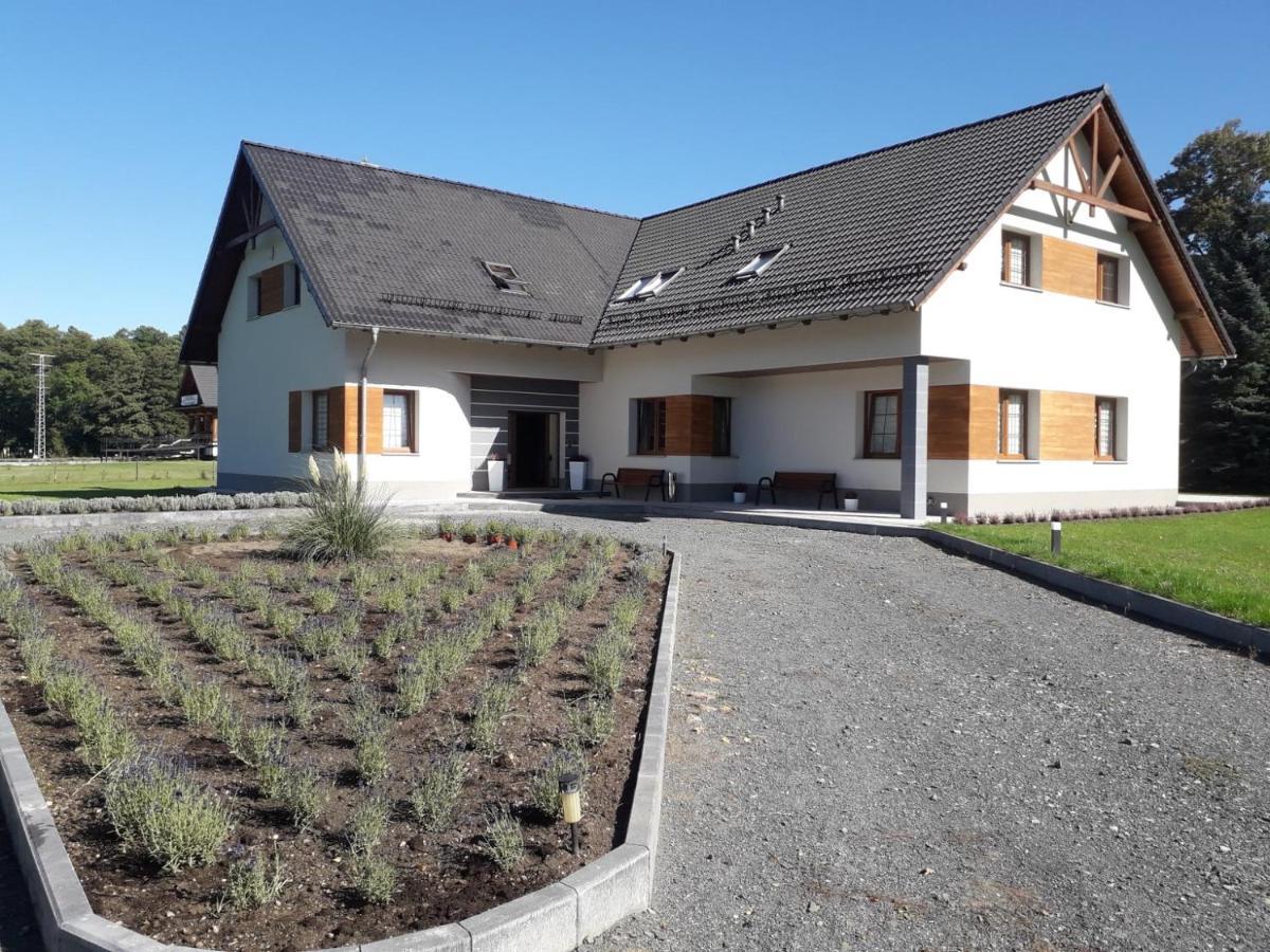 Agroturystyka Aura Kostrzyca Kültér fotó