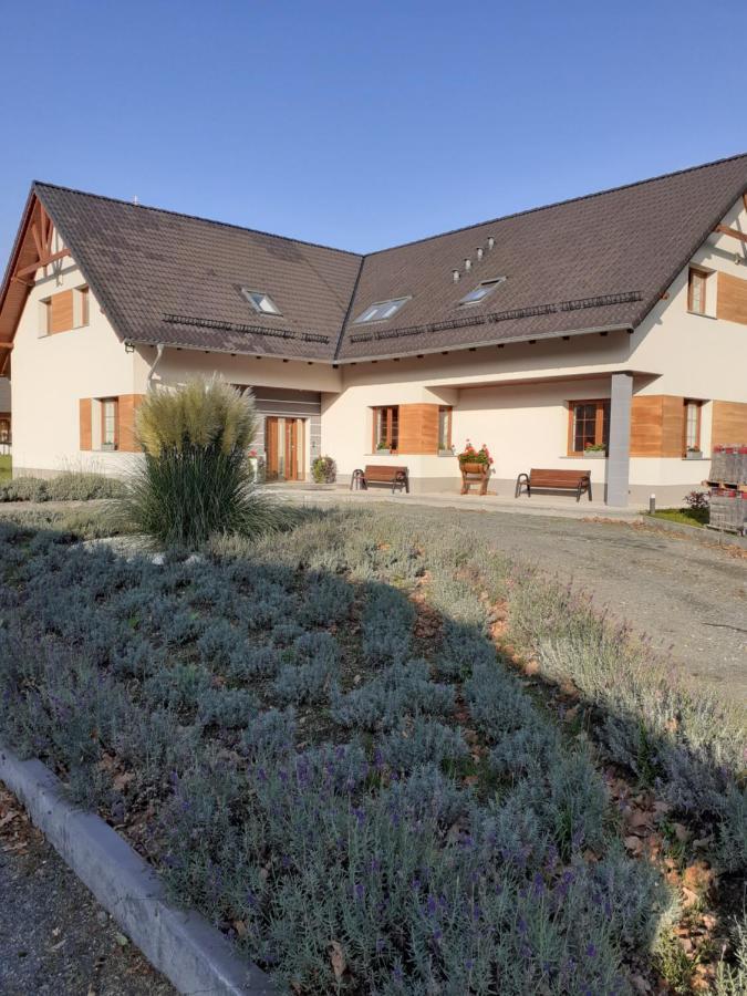 Agroturystyka Aura Kostrzyca Kültér fotó