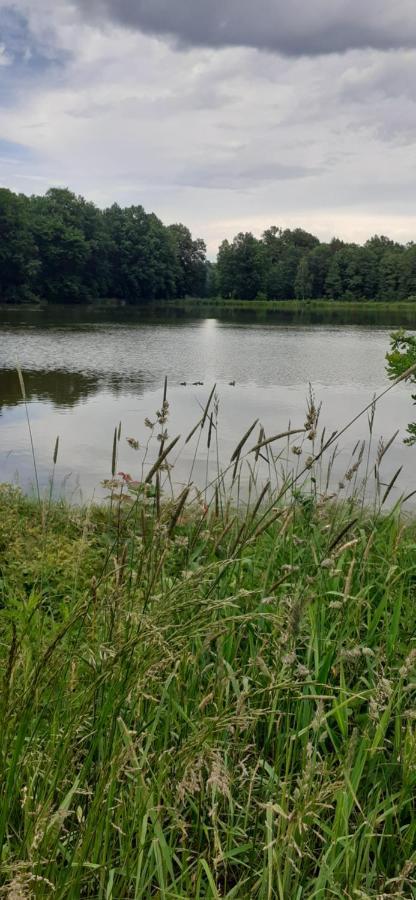 Agroturystyka Aura Kostrzyca Kültér fotó
