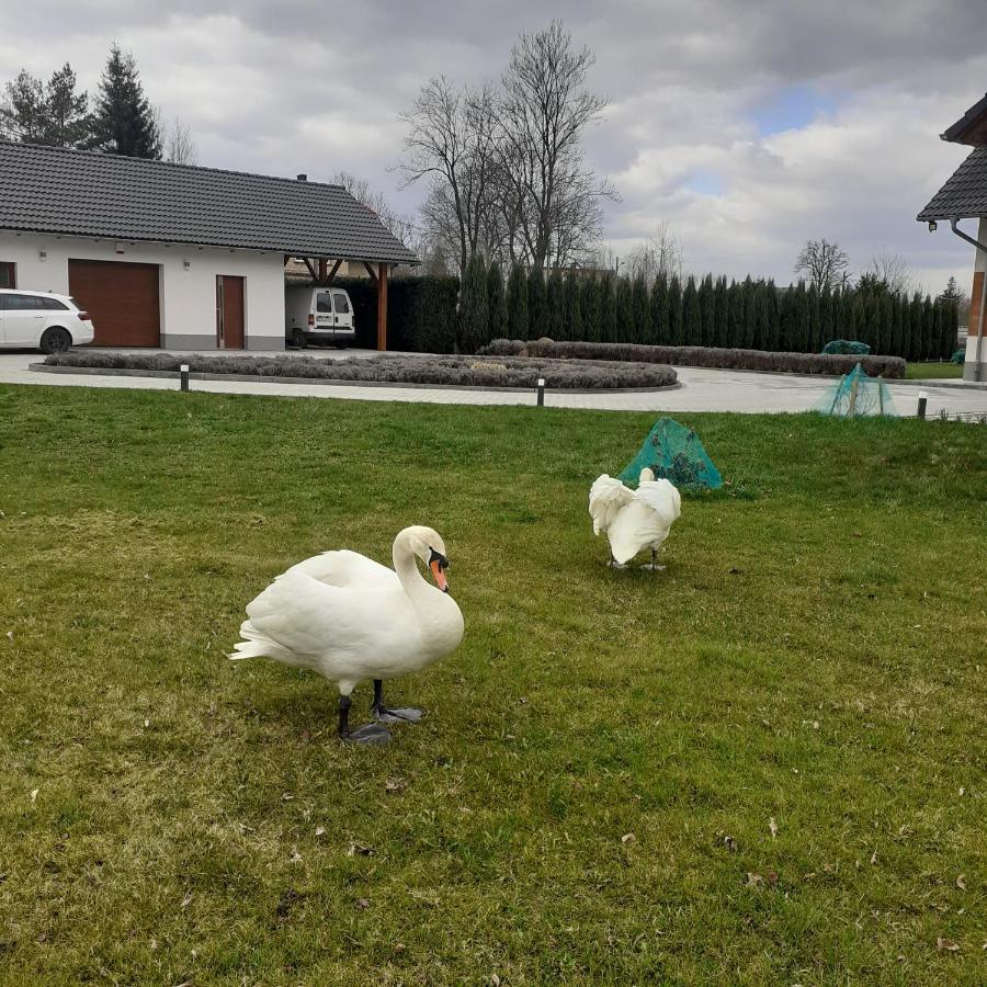 Agroturystyka Aura Kostrzyca Kültér fotó